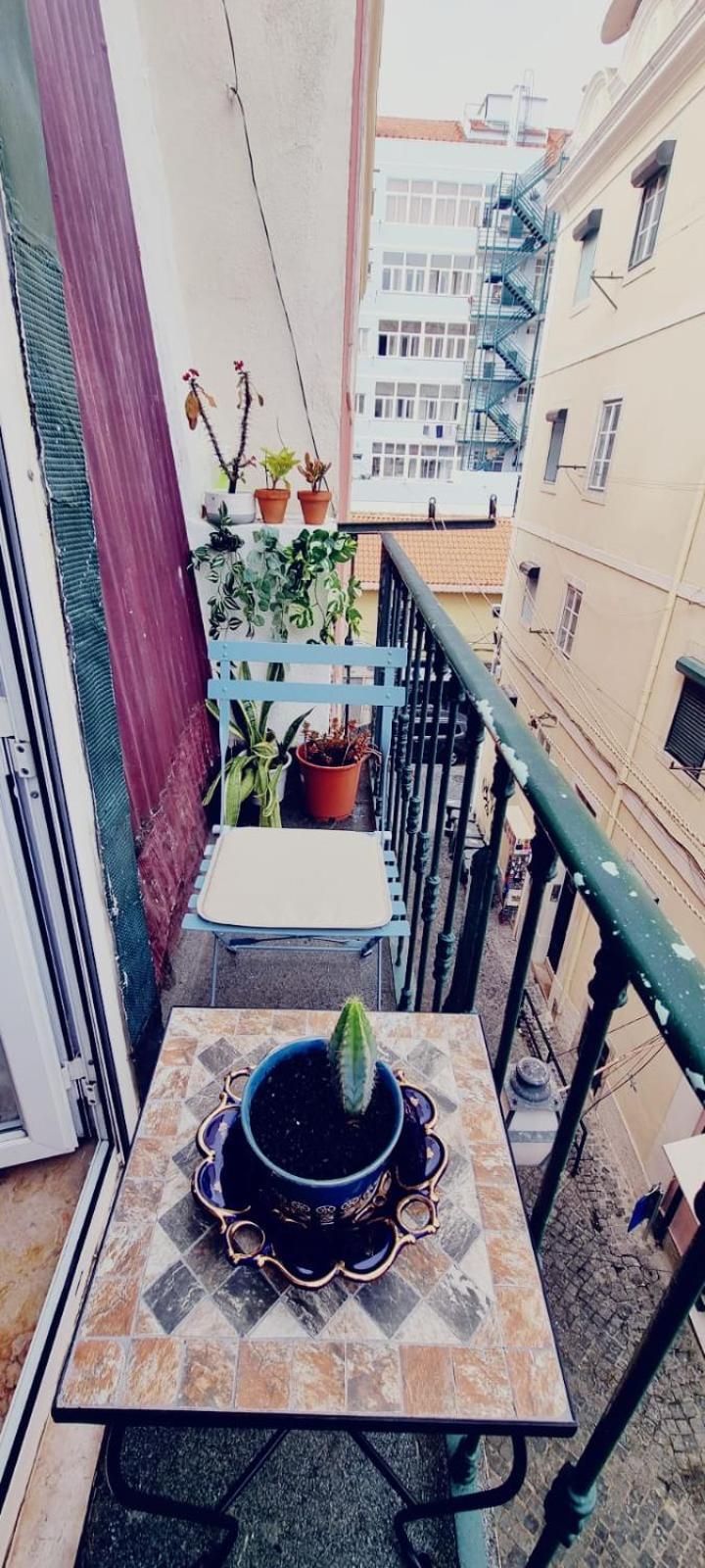Charming To Rent Appartement